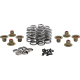 Kibblewhite Beehive Spring Kit - 0.640" Lift - Titanium - M8 | CVO - 0926-3457  20-24350